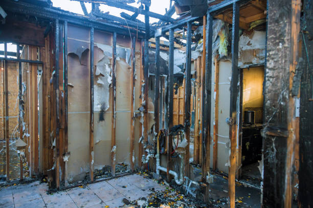 Professional Odor Removal technician working in Somerset, WI